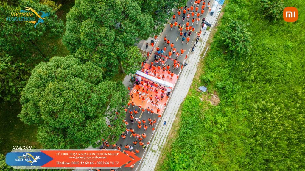 to chuc giai chay bo 11