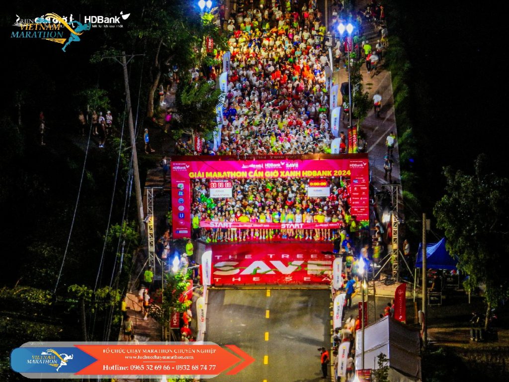 to chuc giai chay bo chuyen nghiep 2